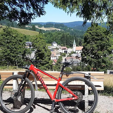 Kopffrei Auf 1000 M 2 Lejlighed *