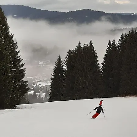 Lejlighed Kopffrei Auf 1000 M 2 *