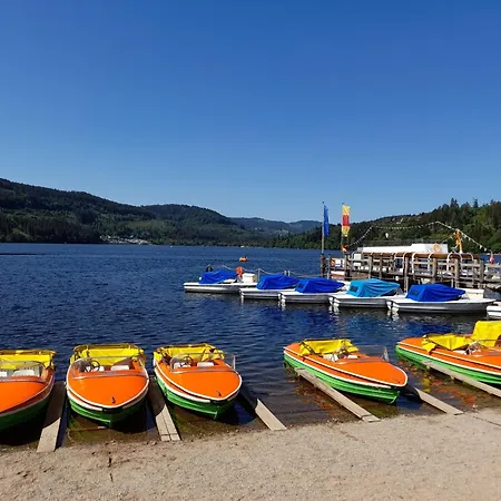 Lejlighed Kopffrei Auf 1000 M 2 Feldberg (Baden-Wurttemberg)